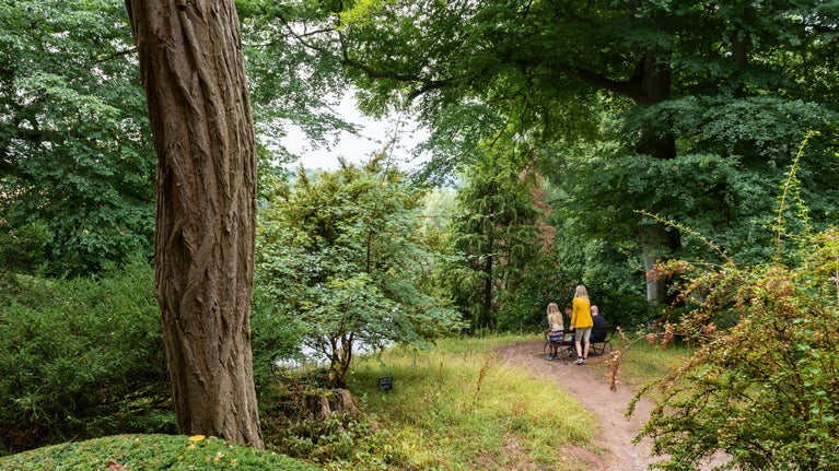 A serene green space with trees and a path, as a family walks in the distance.